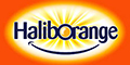 HaliborangeƷlogo